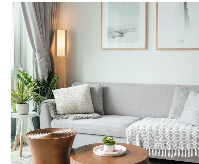 Calm, organized living room interior
