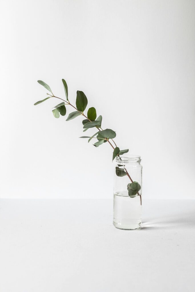 Hello World Featured Image
